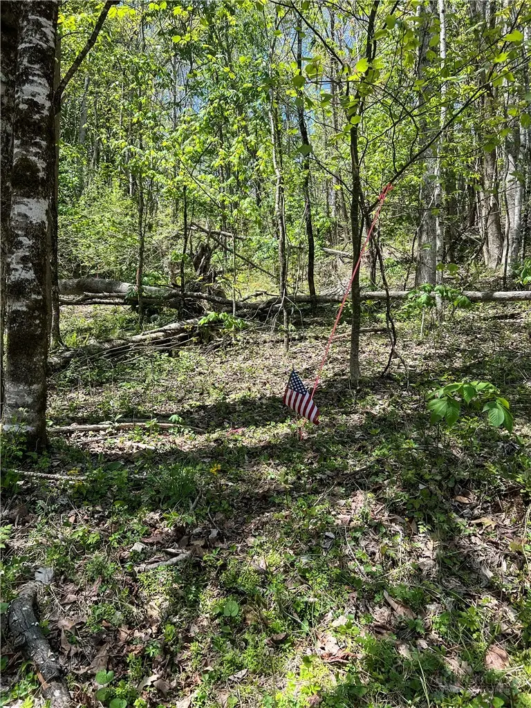 Lot# 34 Buckeye Creek Road, Beech Mountain, NC 28622 - #1