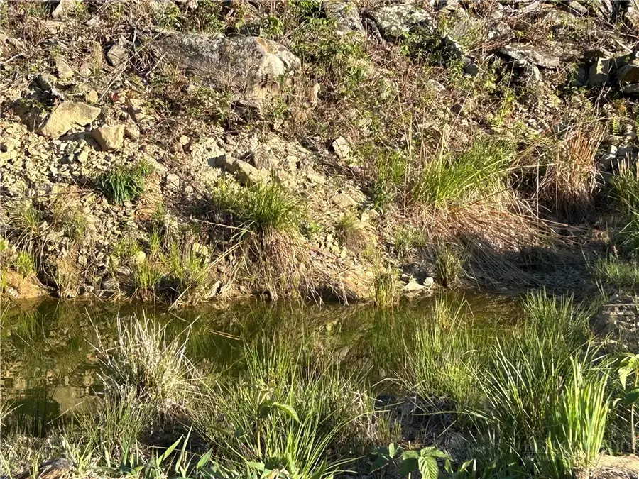 TBD Grant Houck Rd Road, Todd, NC 28684 - #3