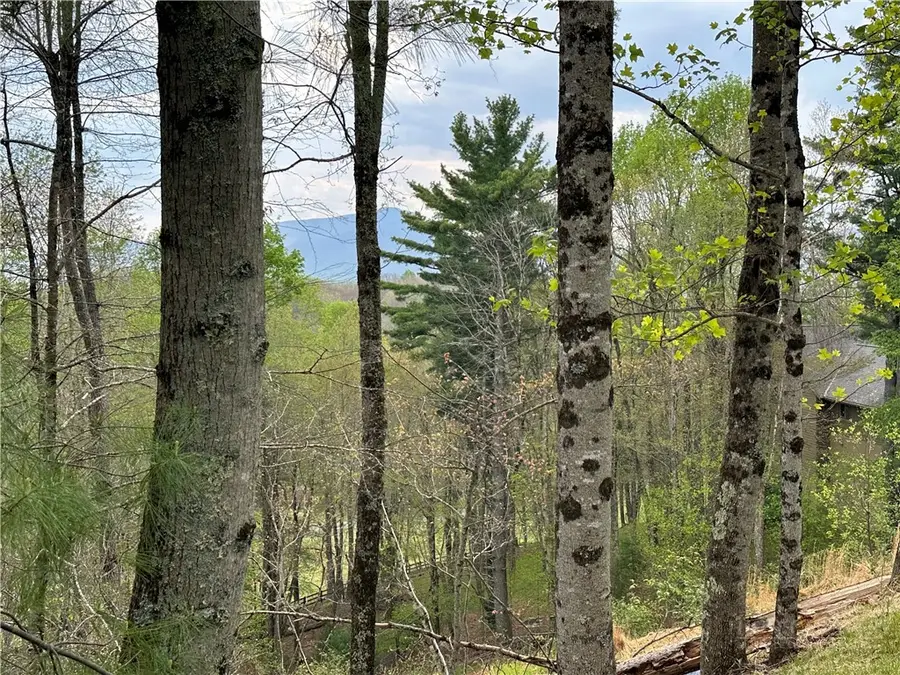 Lot 5 Churchill Downs, Boone, NC 28607 - #2