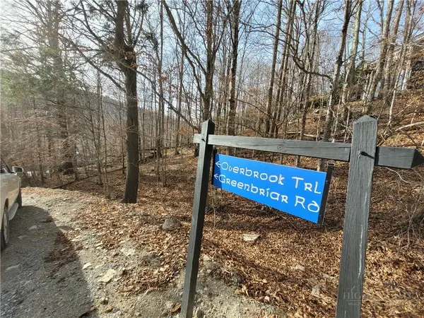 311 Overbrook Trail, Beech Mountain, NC 28604