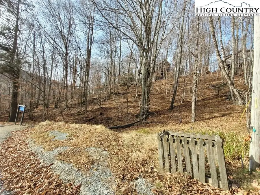 311 Overbrook Trail, Beech Mountain, NC 28604 - #2