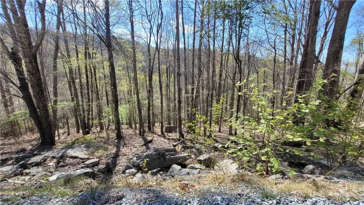 236 Wild Daisy Lane, Beech Mountain, NC 28604 - #1
