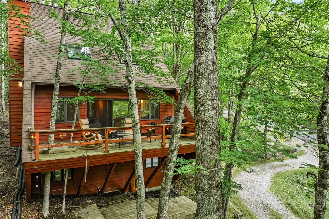 203 Shagbark, Beech Mountain, NC 28604 - #1