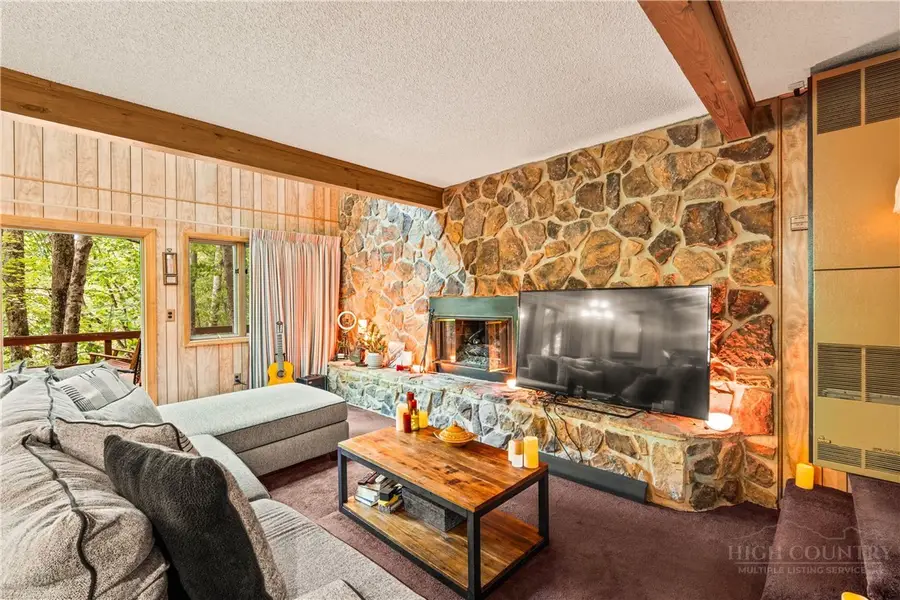 203 Shagbark, Beech Mountain, NC 28604 - #3