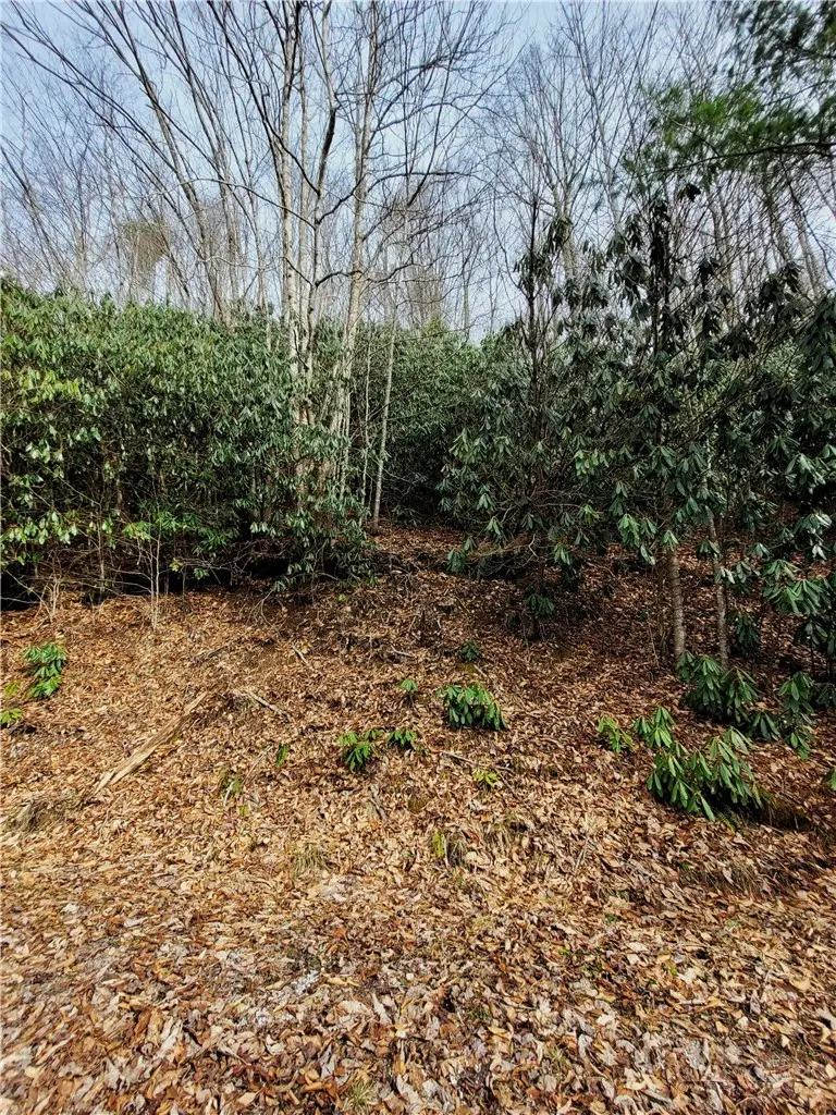 118 Deergrass Road, Beech Mountain, NC 28604 - #3