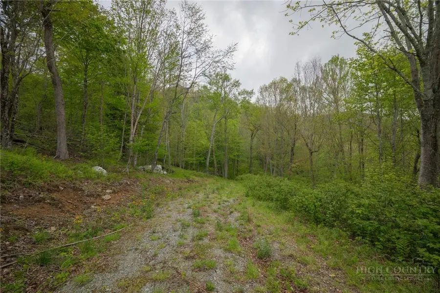 Lot 98 Eagle Peak Trail, Banner Elk, NC 28604 - #2