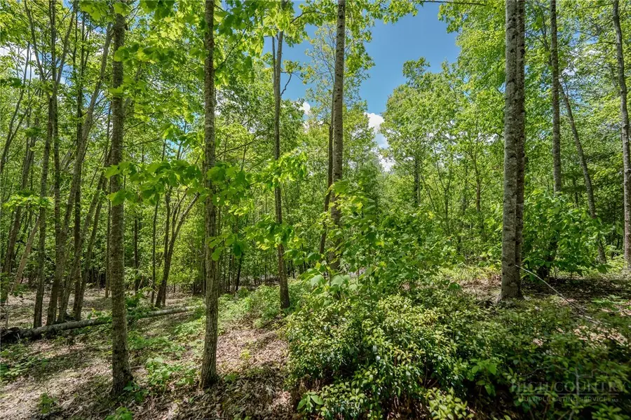 0 Beaver Dam Road, Elk Park, NC 28622 - #2