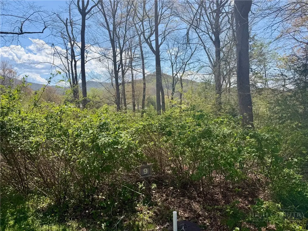Lot 9 Pasture Lane, Banner Elk, NC 28604 - #1