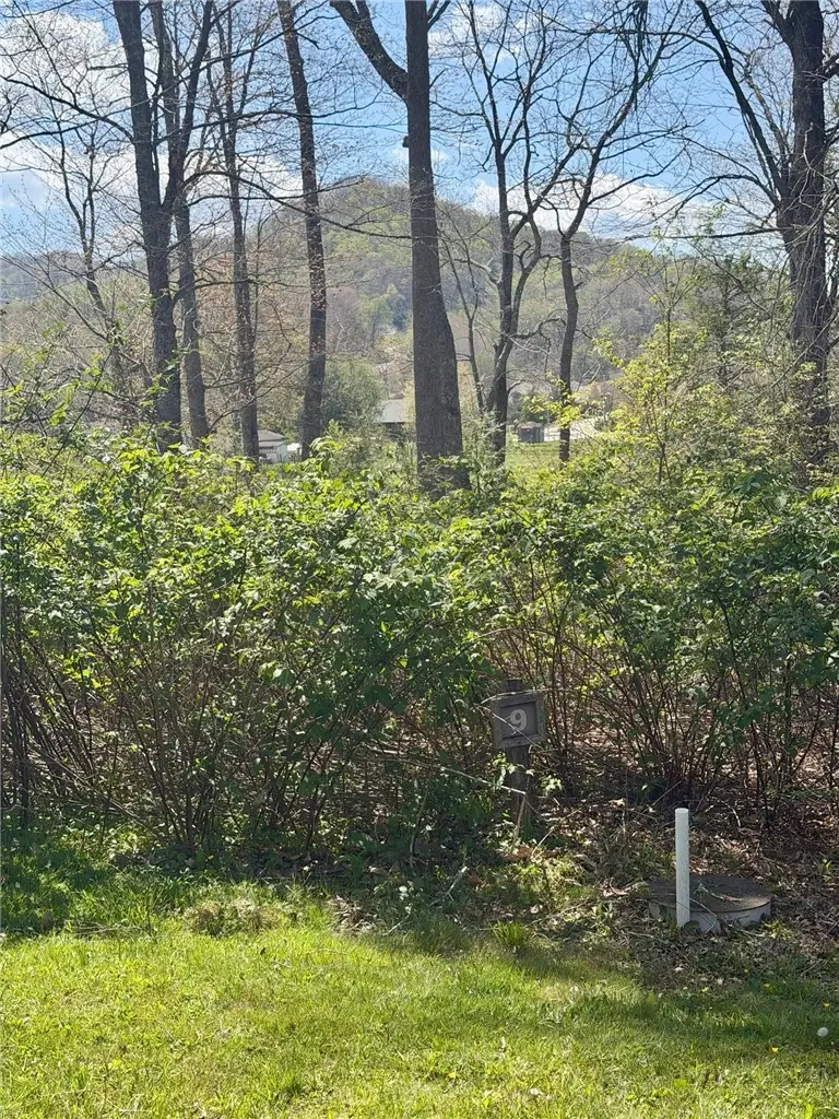 Lot 9 Pasture Lane, Banner Elk, NC 28604 - #3