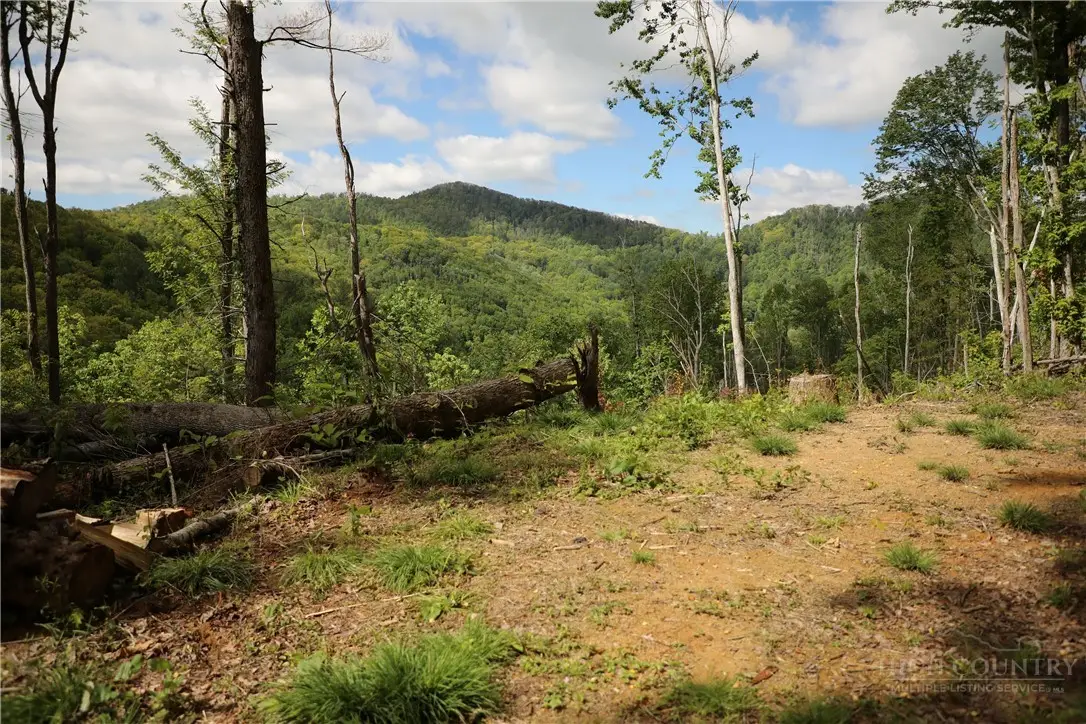 461 Reuben Wooten Road, Banner Elk, NC 28604 - #1