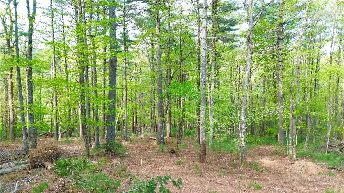 Lot 15 Walden Lane, West Jefferson, NC 28694 - #1