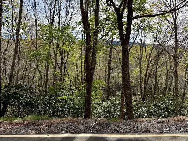 308 Overbrook Trail, Beech Mountain, NC 28604