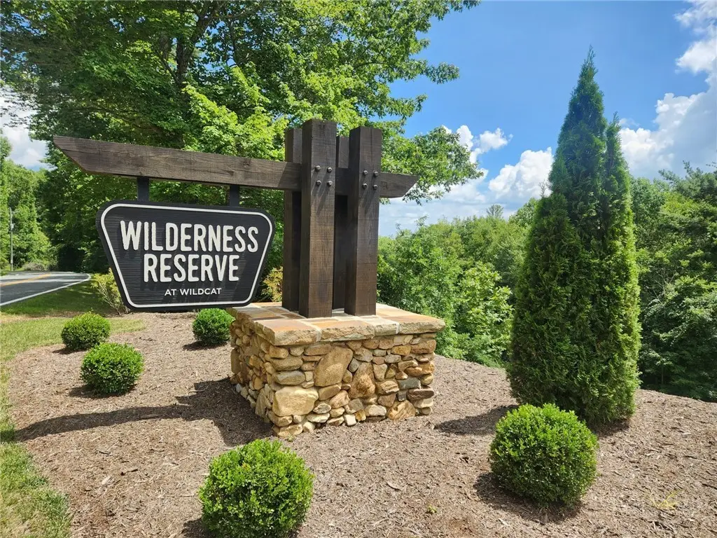 Lot 99 Wildcat Wilderness Parkway, Boone, NC 28607 - #1
