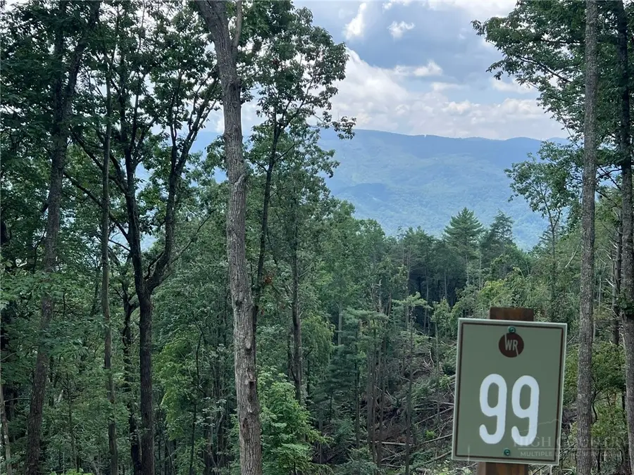Lot 99 Wildcat Wilderness Parkway, Boone, NC 28607 - #3