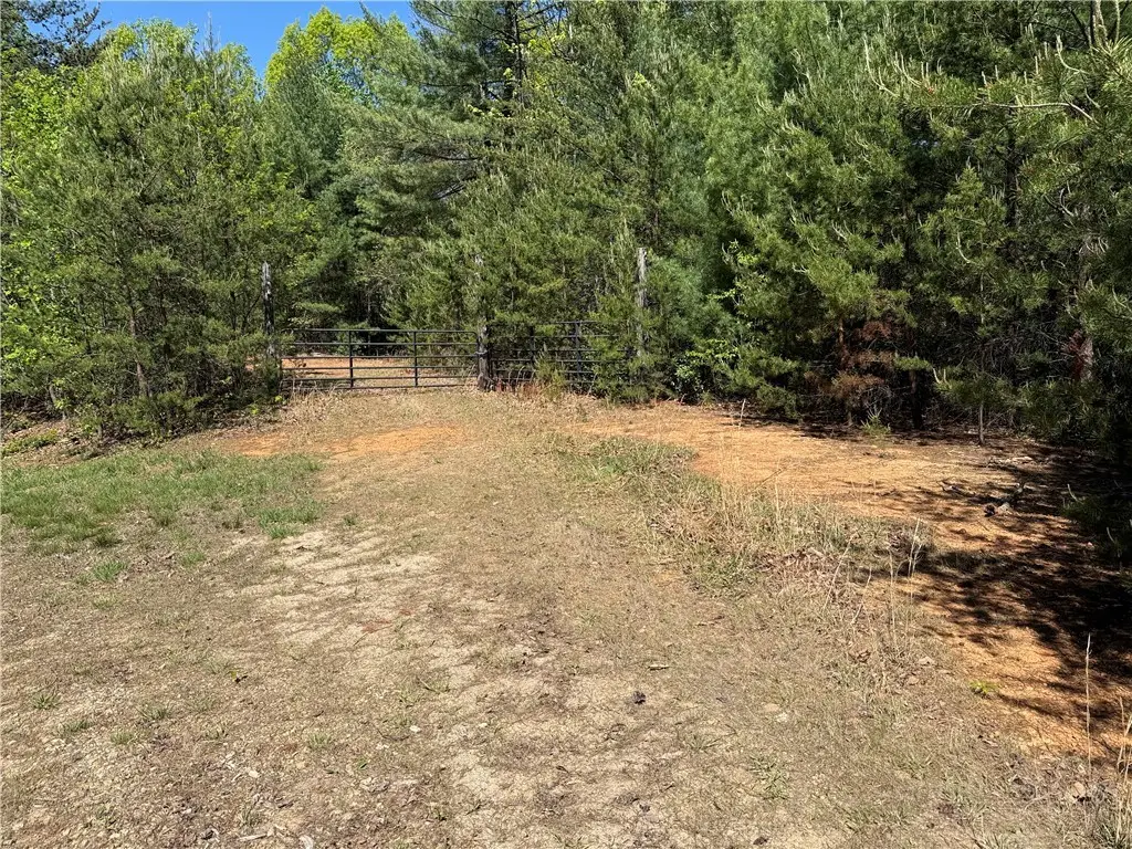 Lots 160 & 161 Staghorn Road, Purlear, NC 28665 - #1