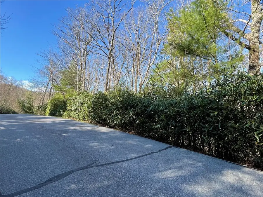 Lot 23 Highland Lakes Road, Blowing Rock, NC 28605 - #3