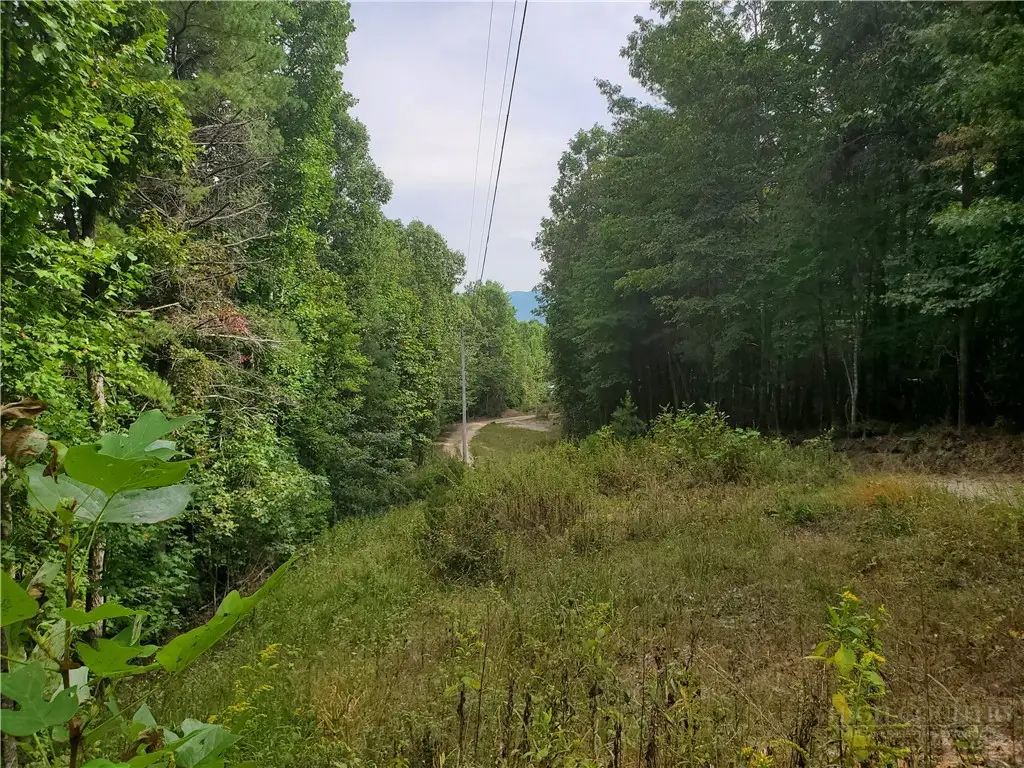 3924 Pearson Mountain Road, Boomer, NC 28606 - #1