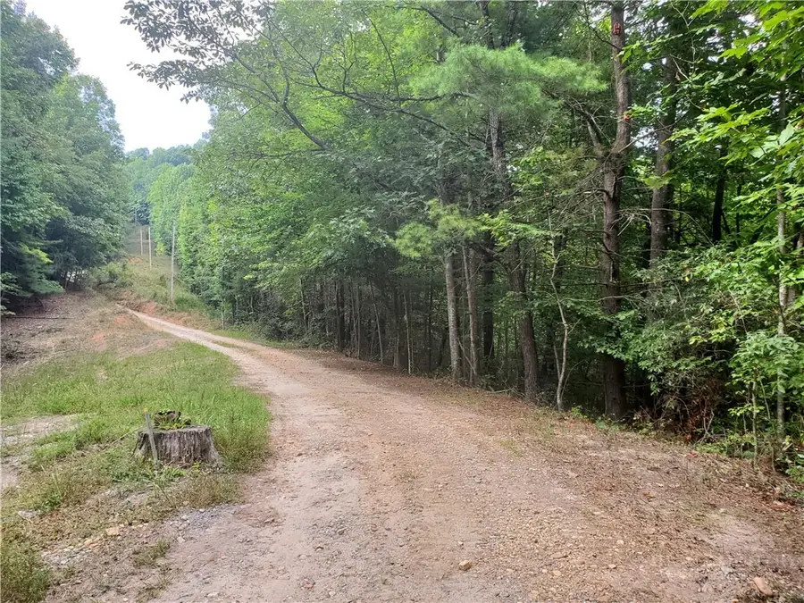 3924 Pearson Mountain Road, Boomer, NC 28606 - #2