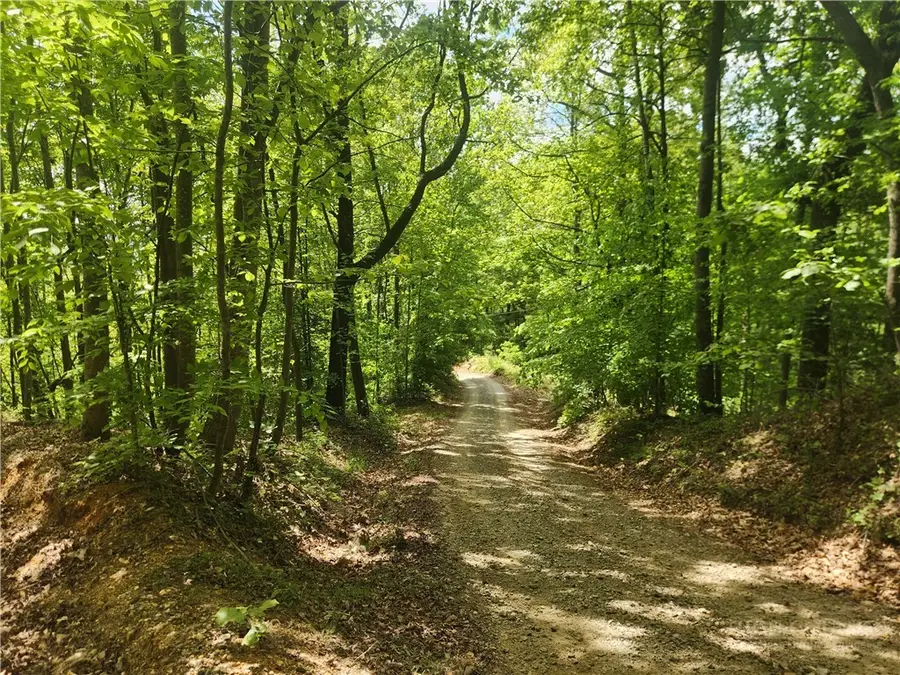 3924 Pearson Mountain Road, Boomer, NC 28606 - #3