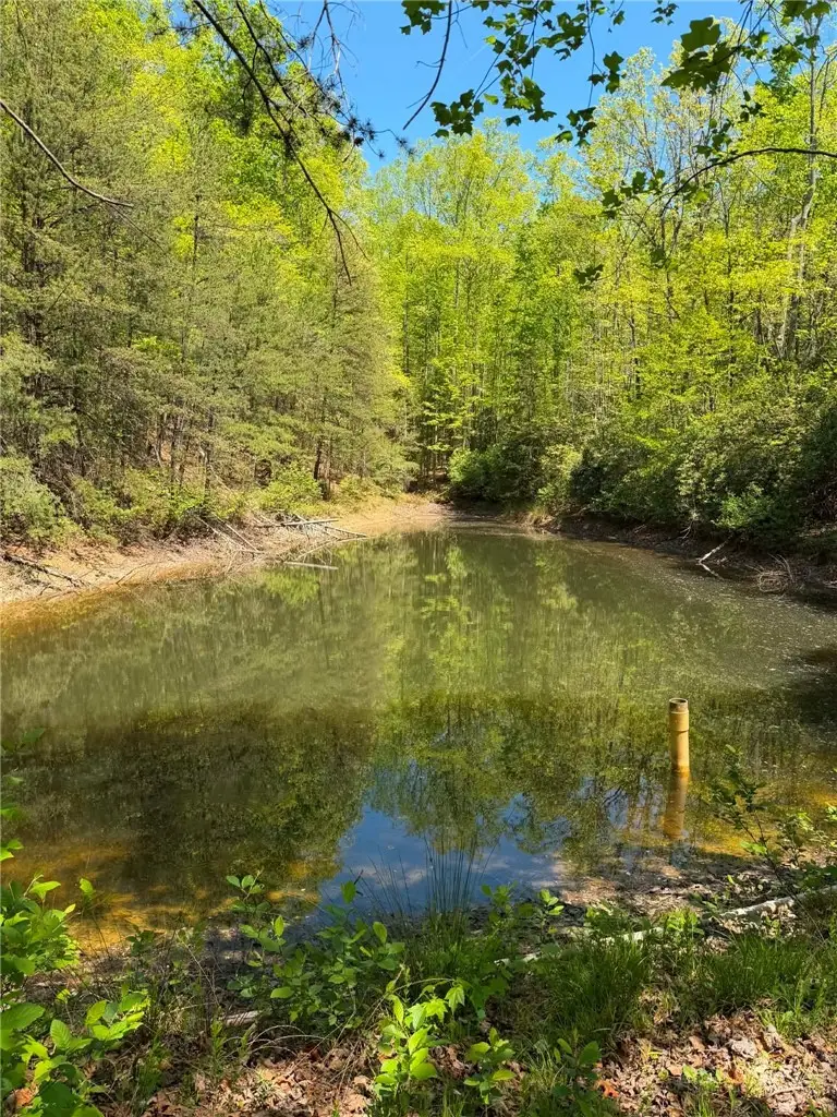 TBD Raven Ridge Trail, Dobson, NC 27017 - #2