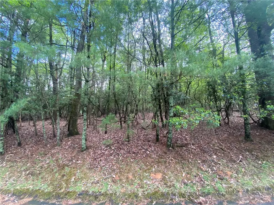 17-C Buchanan Street, Roaring Gap, NC 28668 - #2