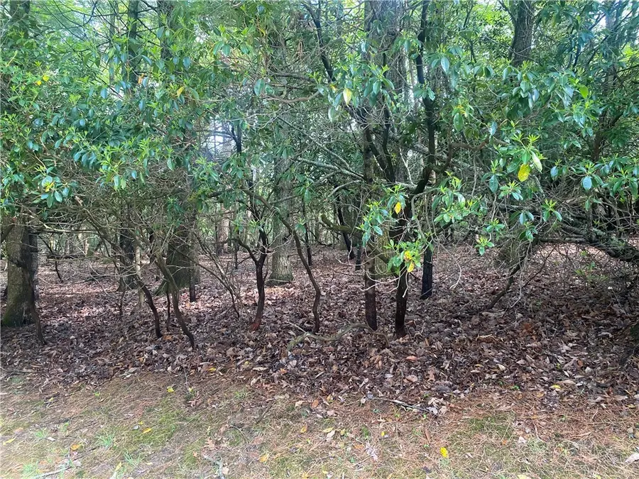 18-C Buchanan Street, Roaring Gap, NC 28668 - #2