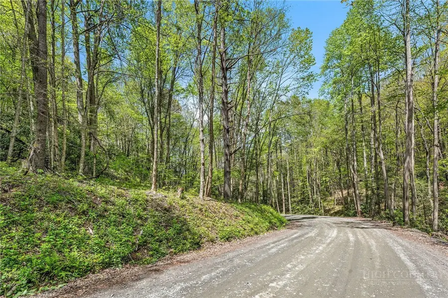 TBD Canoe Gap Road, West Jefferson, NC 28694 - #2