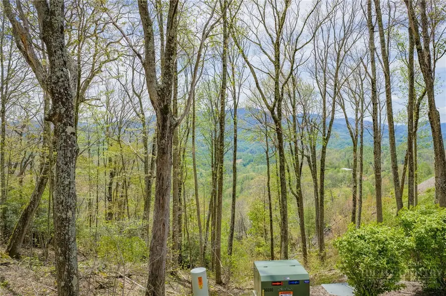 S105 Talon Trail, Banner Elk, NC 28604 - #3