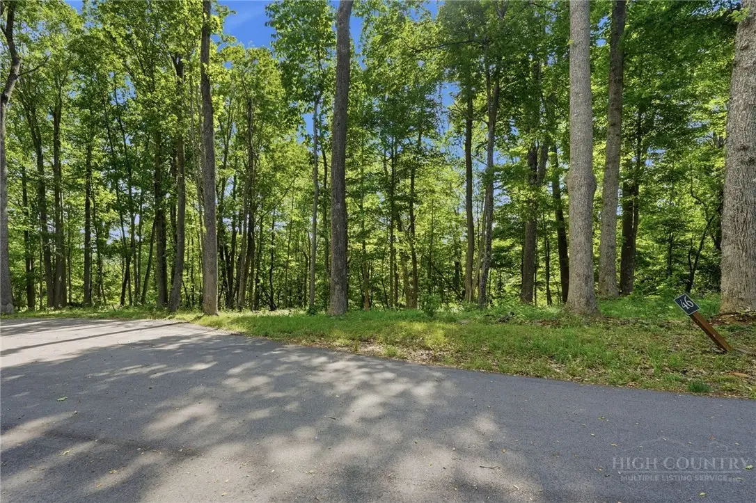 Lot 46 Poplar Forest Drive, Meat Camp, NC 28604 - #1