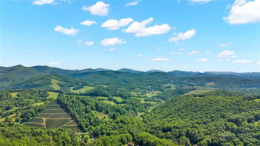Lot 46 Poplar Forest Drive, Meat Camp, NC 28604 - #2