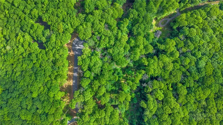 Lot 46 Poplar Forest Drive, Meat Camp, NC 28604 - #3