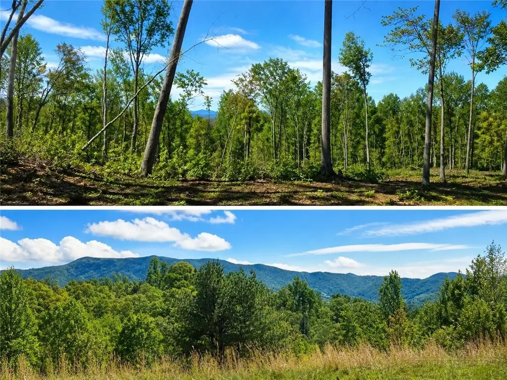 Lot #41 Lost Ridge Trail, Vilas, NC 28692 - #1