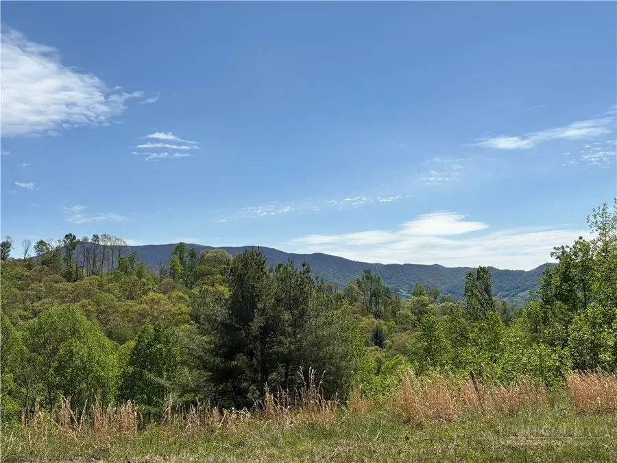 Lot #41 Lost Ridge Trail, Vilas, NC 28692 - #3