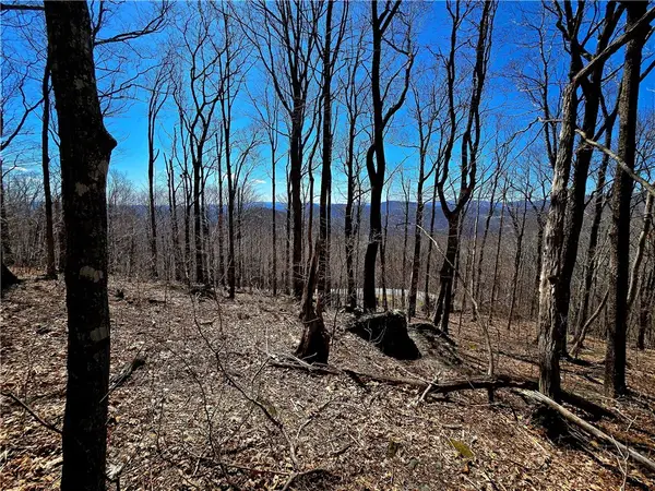 Lot 78 Elk Creek Mountain Parkway, Todd, NC 28684