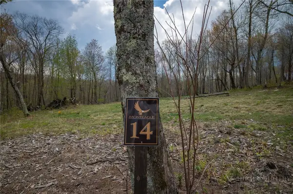 LOT 14 Great Sky Drive, Banner Elk, NC 28604