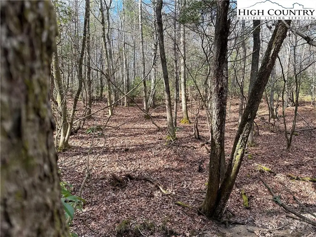 Lot 23 Holly Run, Glade Valley, NC 28627 - #1