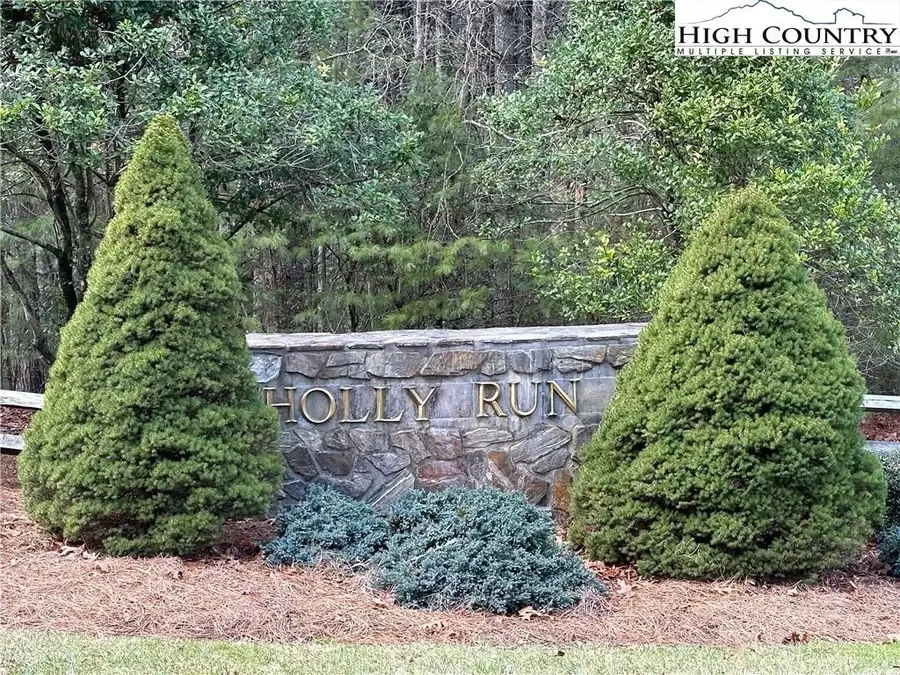 Lot 23 Holly Run, Glade Valley, NC 28627 - #3