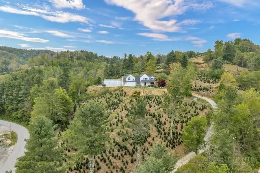 61 Honky Hollow Lane, Newland, NC 28657 - #3