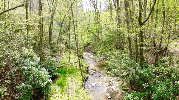TBD Greer Town Road, Lansing, NC 28643