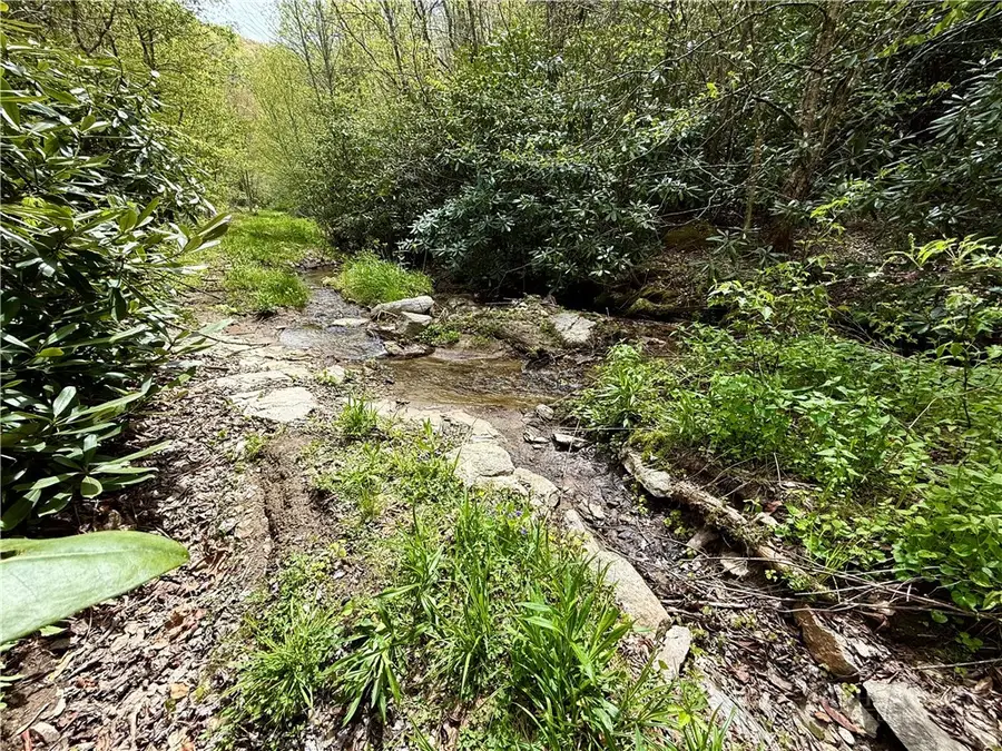 TBD Greer Town Road, Lansing, NC 28643 - #3