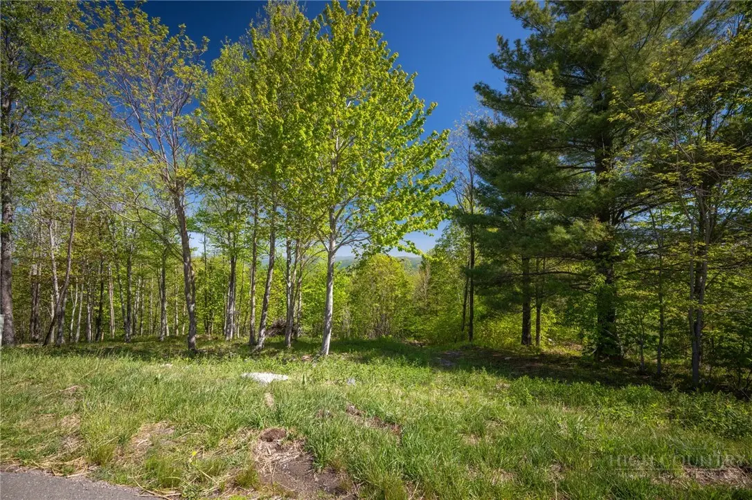 53 Eagle Creek Trail, Banner Elk, NC 28604 - #1