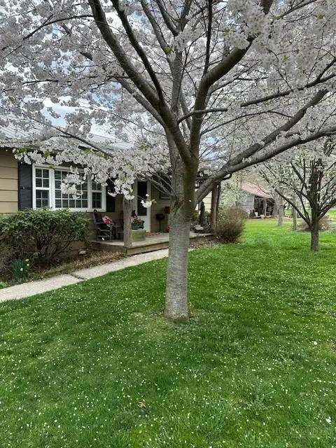 2846 & 2818 Broadstone Road, Banner Elk, NC 28604 - #3