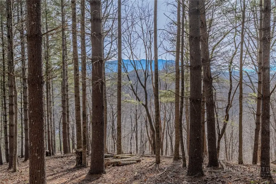 8 and 9 Haven Ridge Road, Lansing, NC 28643 - #2