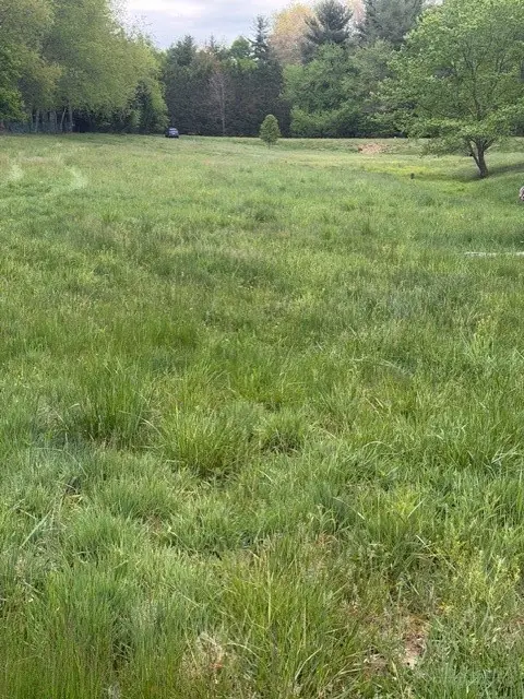 TBD Fraser Road, Sparta, NC 28675 - #2