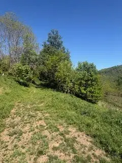 TBD Westwood Acres Drive, West Jefferson, NC 28694 - #2