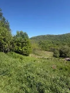 TBD Westwood Acres Drive, West Jefferson, NC 28694 - #3