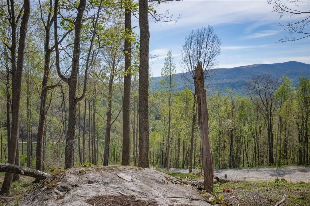 140 Old Forge Trail, Elk Park, NC 28622 - #1
