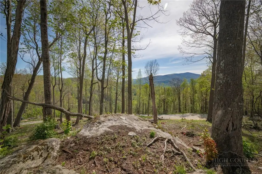 140 Old Forge Trail, Elk Park, NC 28622 - #2