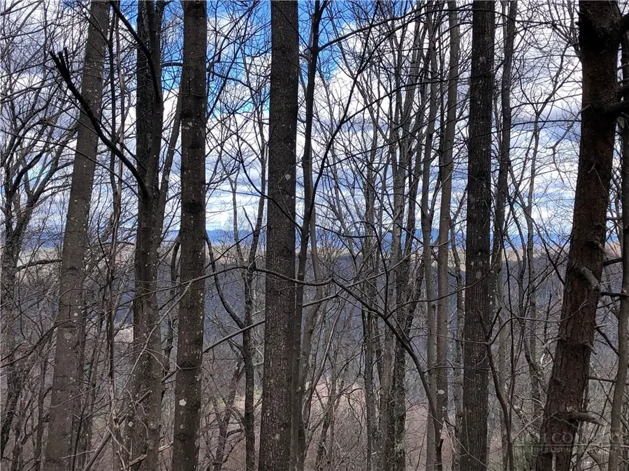 Lot 21 Bobcat Mountain Road, Purlear, NC 28665 - #3
