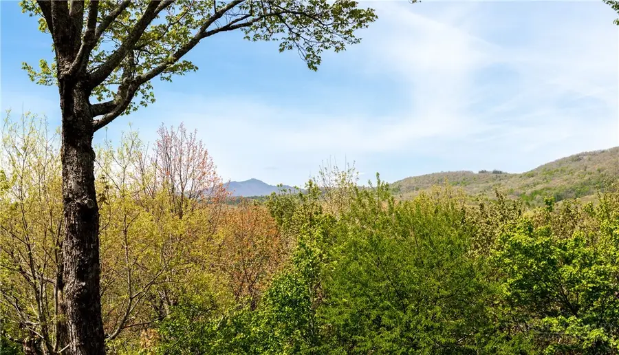 371 Dameron Drive, Blowing Rock, NC 28605 - #2